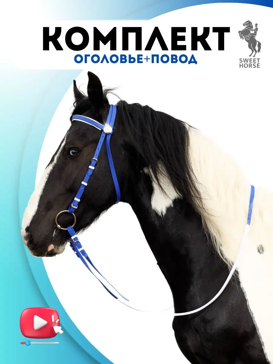 Комплект оголовье + повод для лошади Sweethorse 11463039 купить за 2 824 ₽  в интернет-магазине Wildberries