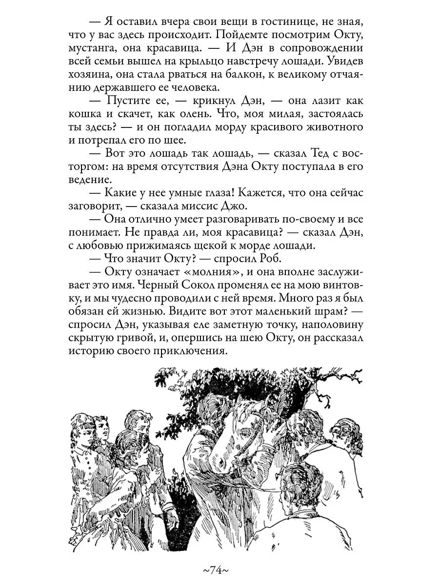 Луиза Олкотт. Ребята Джо. Иллюстрированное издание. Издательство СЗКЭО  11484012 купить в интернет-магазине Wildberries