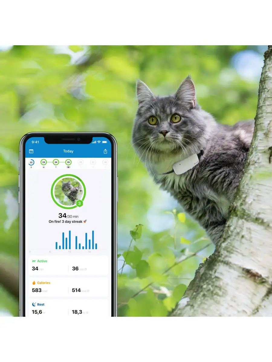 Ikati GPS-трекер для кошек, с приложением, водонепроницаемый трекер, работа  по подписке от 1 мес. Tractive 11513678 купить в интернет-магазине  Wildberries