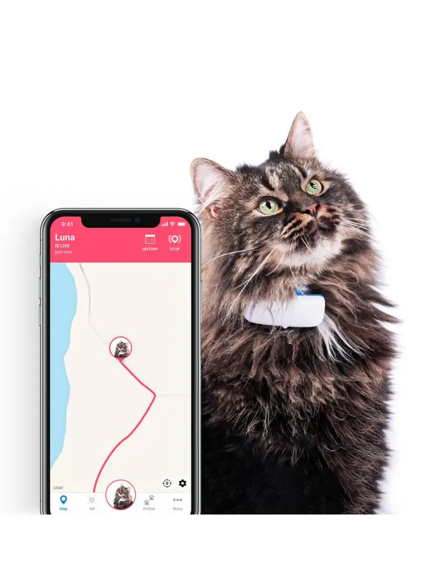 Ikati GPS-трекер для кошек, с приложением, водонепроницаемый трекер, работа  по подписке от 1 мес. Tractive 11513678 купить в интернет-магазине  Wildberries