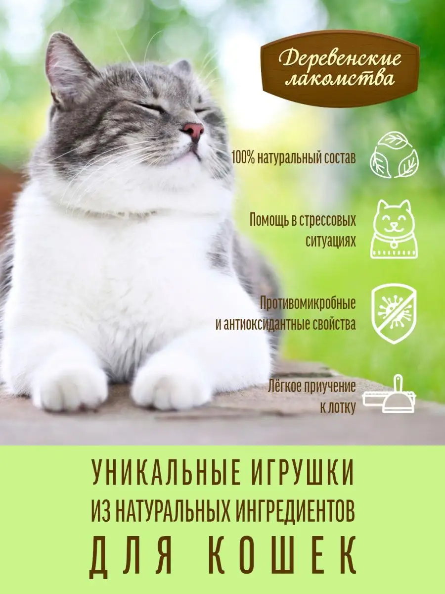 Кошачья мята игрушка для кошек, 15 гр. Деревенские лакомства 11522450  купить за 260 ₽ в интернет-магазине Wildberries