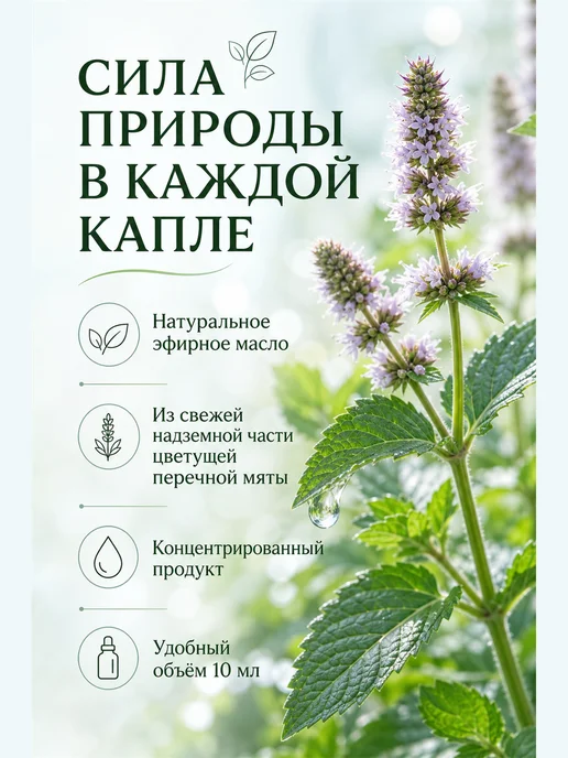 НатурВитАрома Мята натуральное эфирное масло 10мл, 10 мл, фото 5