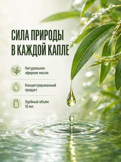 НатурВита Чайное дерево эфирное масло 10мл, 10 мл, фото 5