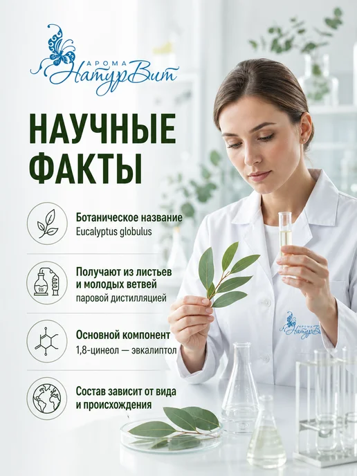 НатурВитАрома Эвкалипт натуральное эфирное масло 10мл, 10 мл, фото 6