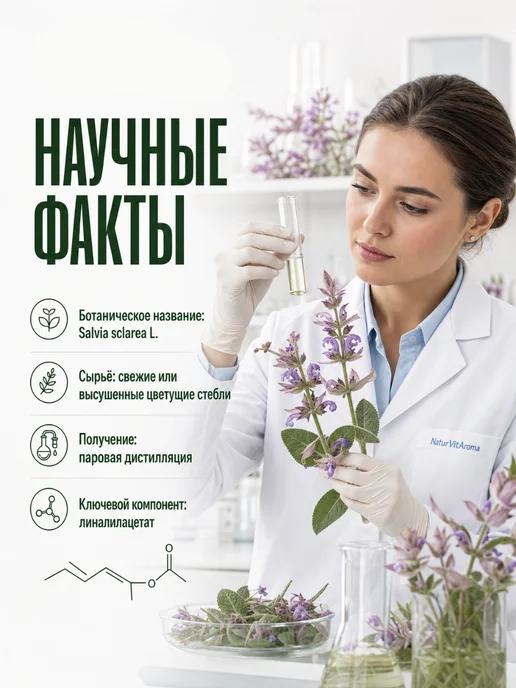 НатурВита Шалфей эфирное масло АромаТерапия 10мл, 10 мл, фото 6