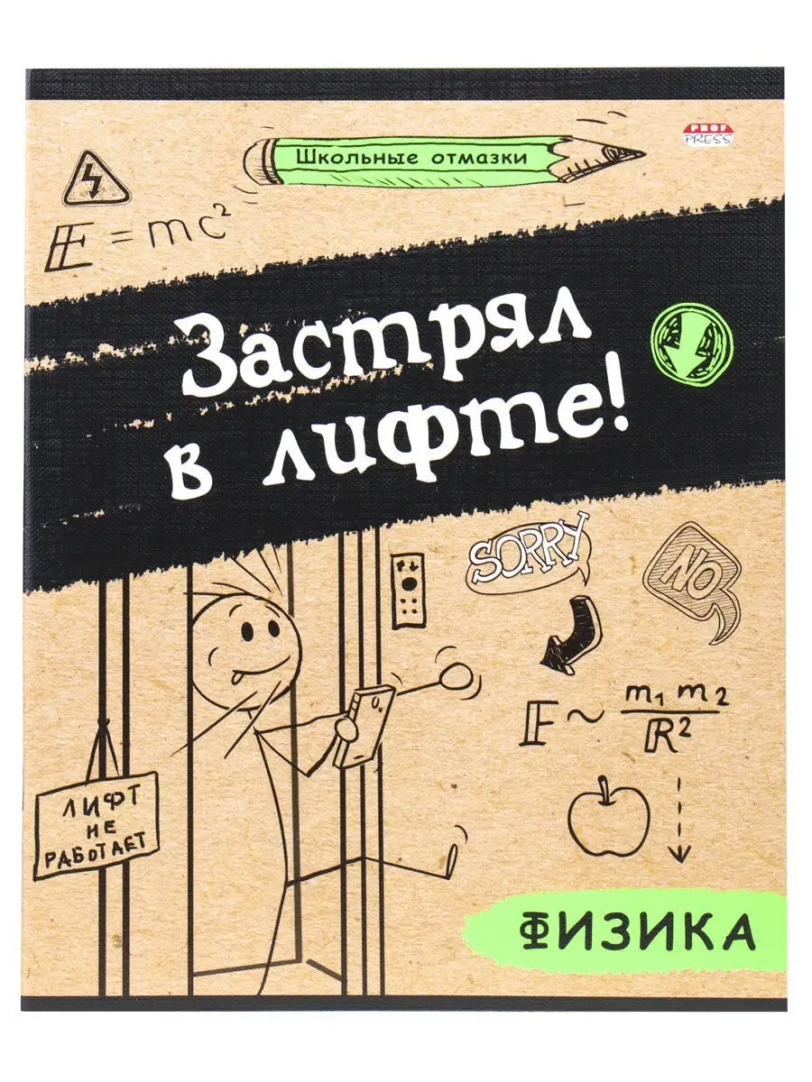 Комплект 12 предметных тетрадей 48 листов, формат А5 Prof-Press 11552823  купить в интернет-магазине Wildberries