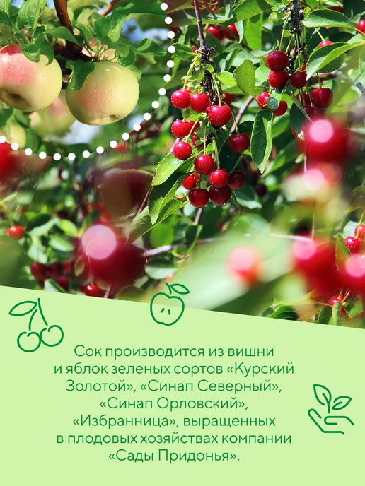 Сады Придонья Сок яблоко-вишня 0,2л, с 5 мес (27шт), 0,2 л, 27 шт, фото 5