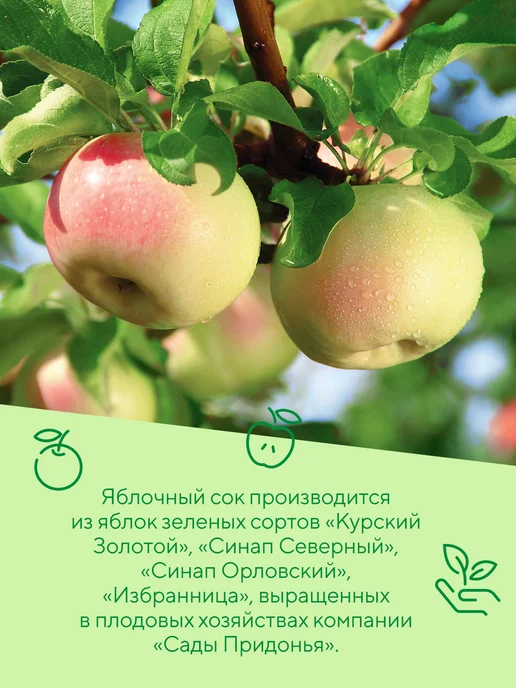 Сады Придонья Сок мультифрукт с мякотью 0,2л (27шт), 0,2 л, 27 шт, фото 5