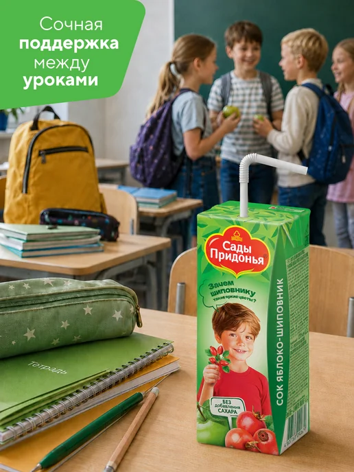 Сады Придонья Сок яблоко-шиповник 0,2л, с 6 мес (27шт), 0,2 л, 27 шт, фото 4