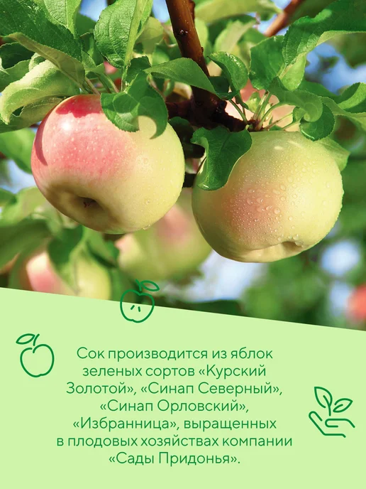 Сады Придонья Сок яблоко-вишня 0,2л, с 5 мес (27шт), 200 г, 27 шт, фото 5
