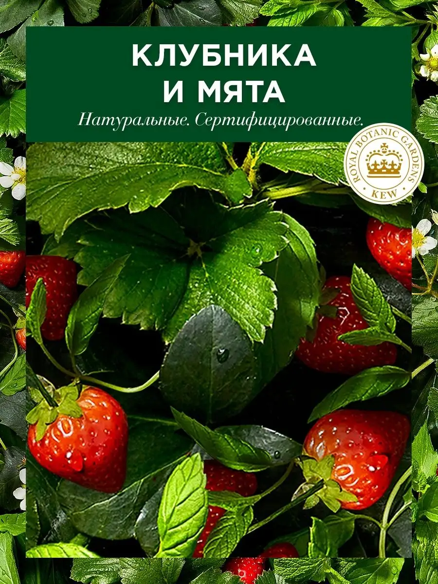 Шампунь для волос женский Клубника и Сладкая мята 400мл Herbal Essences  11580951 купить в интернет-магазине Wildberries