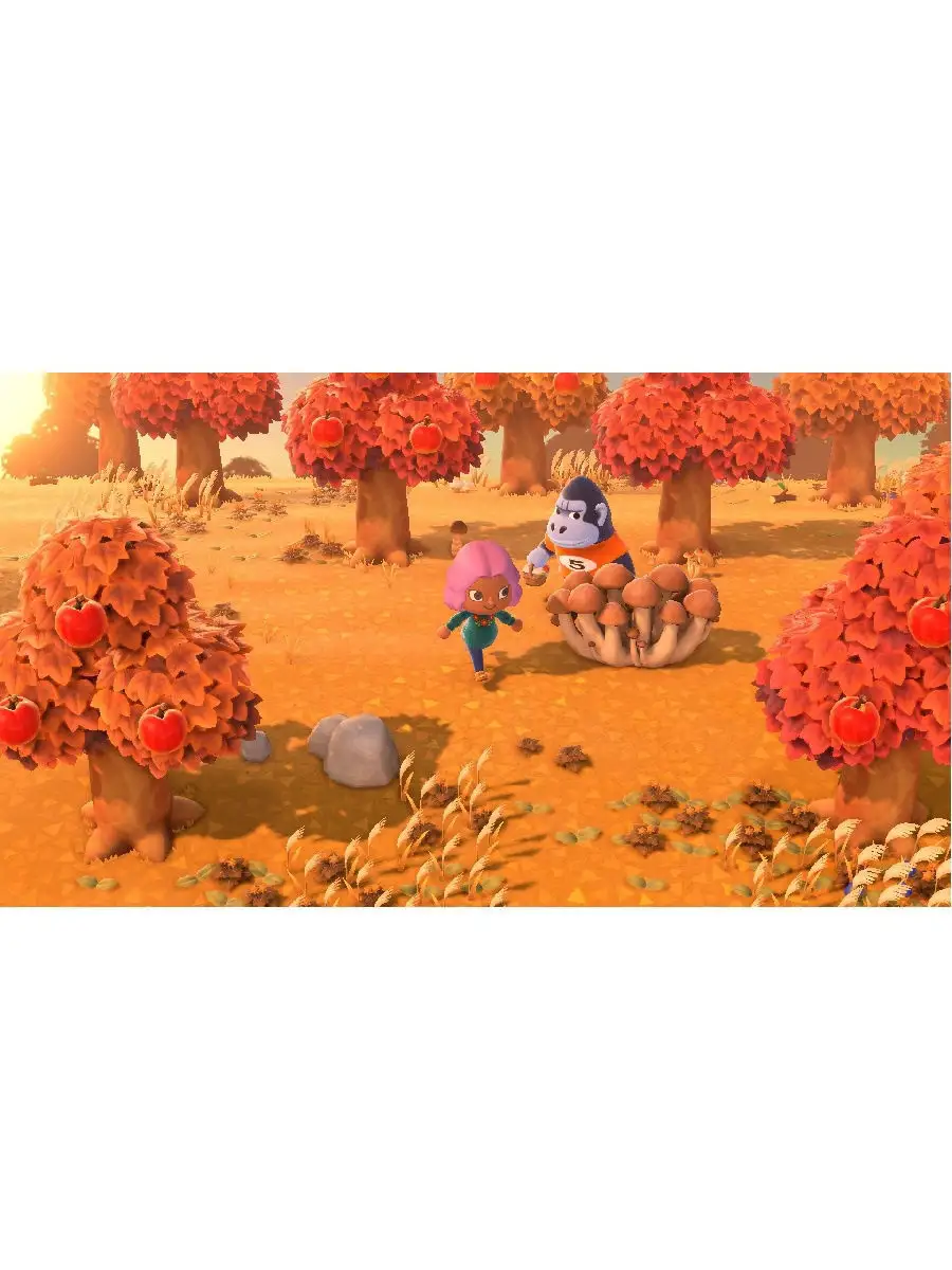 Игра Animal Crossing: New Horizons NINTENDO 11633230 купить за 5 452 ₽ в  интернет-магазине Wildberries