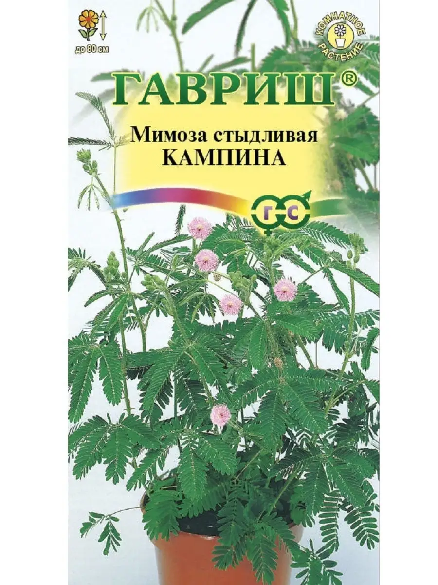 Семена Мимоза стыдливая Кампина, 0.1г Гавриш 11634648 купить за 102 ₽ в  интернет-магазине Wildberries