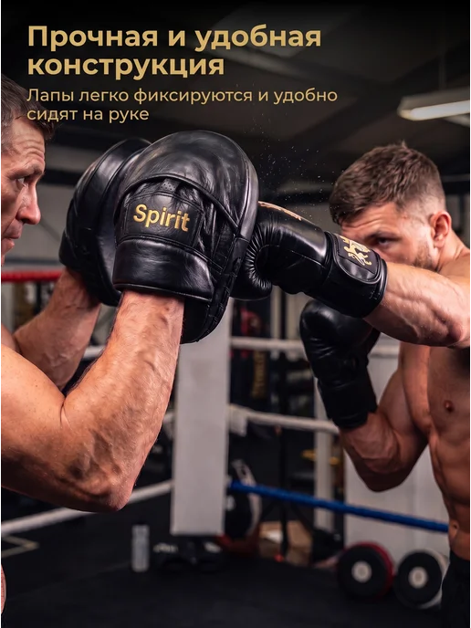 Hatton Skills Лапы боксерские Spirit 2 шт для бокса, 2 шт, фото 5