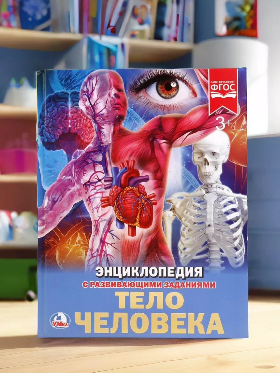 Книга детская энциклопедия с заданиями Тело человека Умка 11725065 купить  за 284 ₽ в интернет-магазине Wildberries