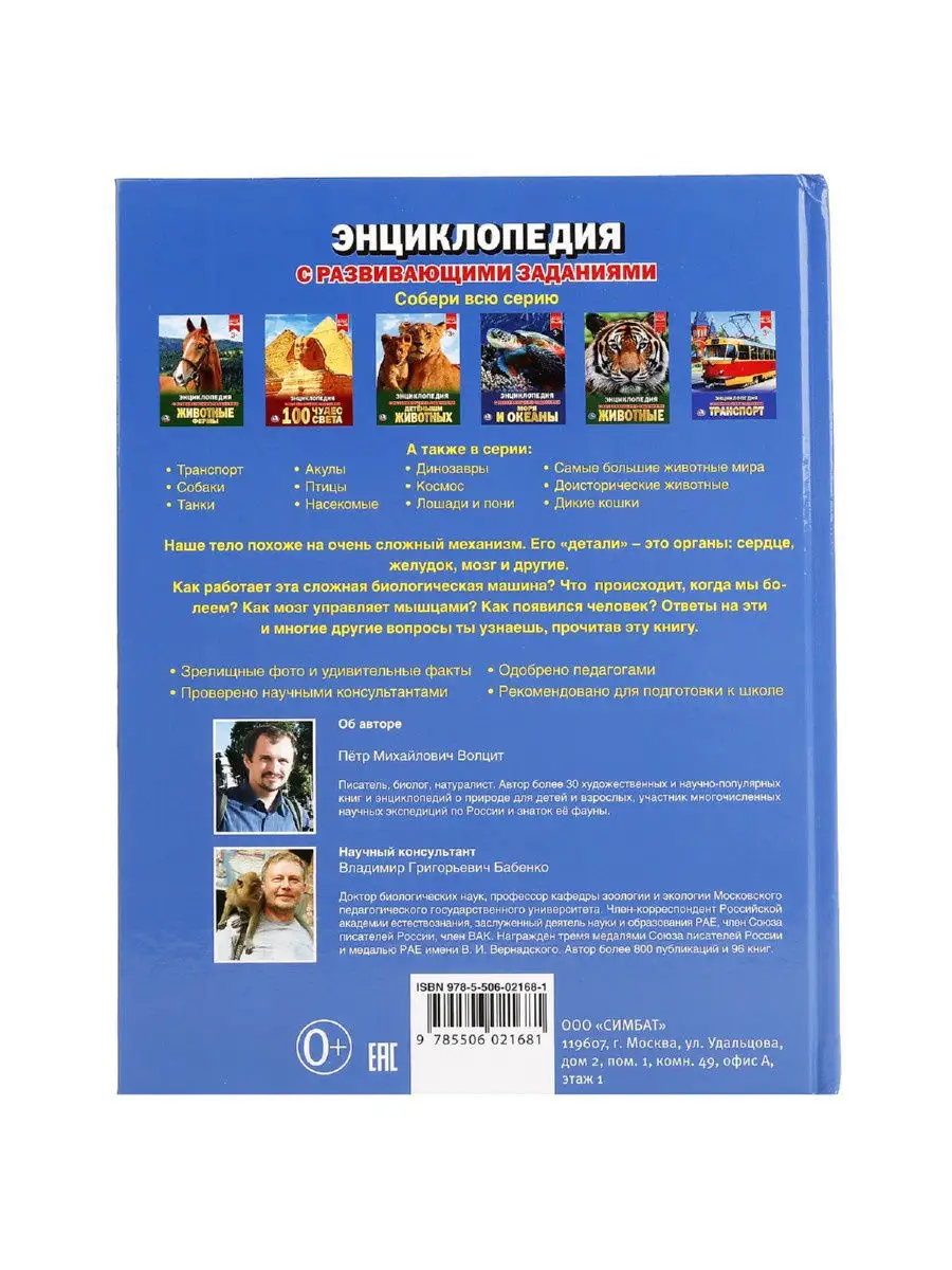 Книга детская энциклопедия с заданиями Тело человека Умка 11725065 купить  за 306 ₽ в интернет-магазине Wildberries