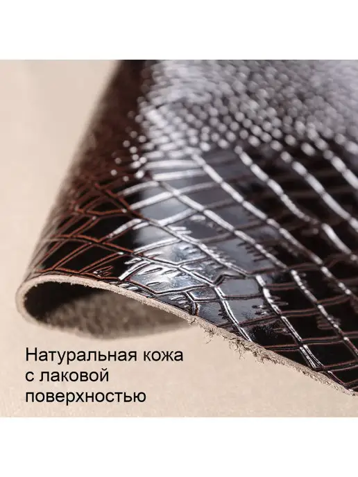PREMIER` Зажим для денег M-52 Коричневый крокодил мелкий (лак) № 112, коричневый, фото 4