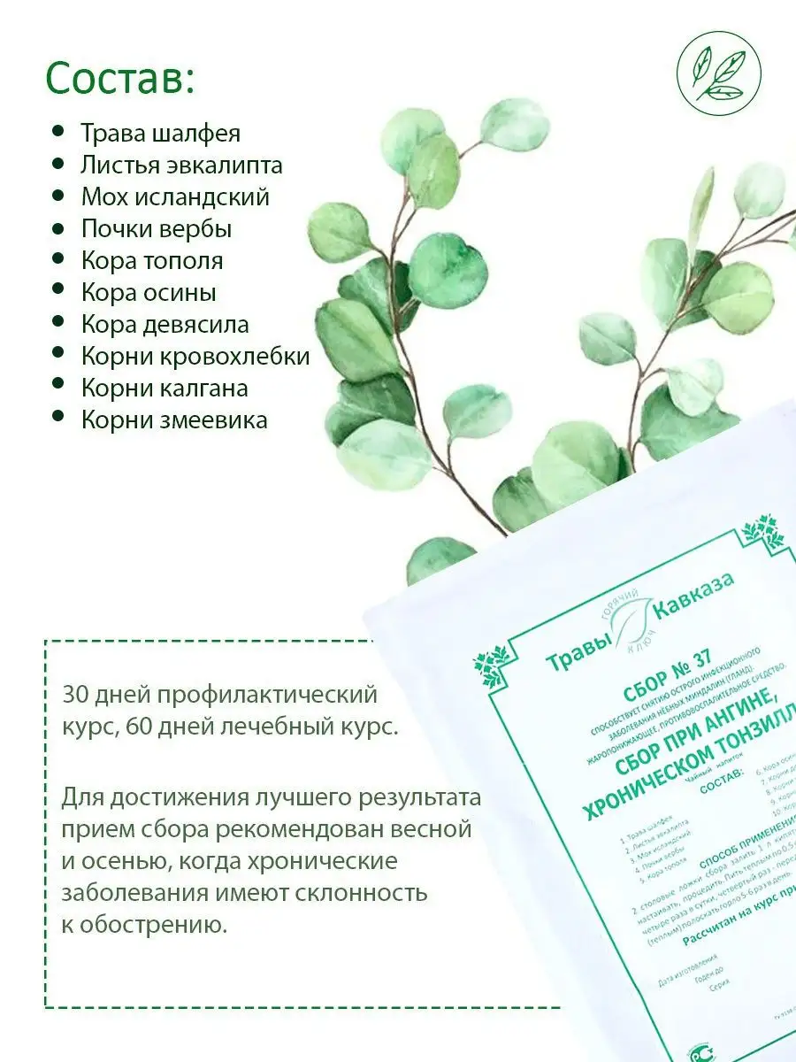 Сбор при ангине, хроническом тонзиллите №37, 115г KAMCHATKA 11781739 купить  в интернет-магазине Wildberries