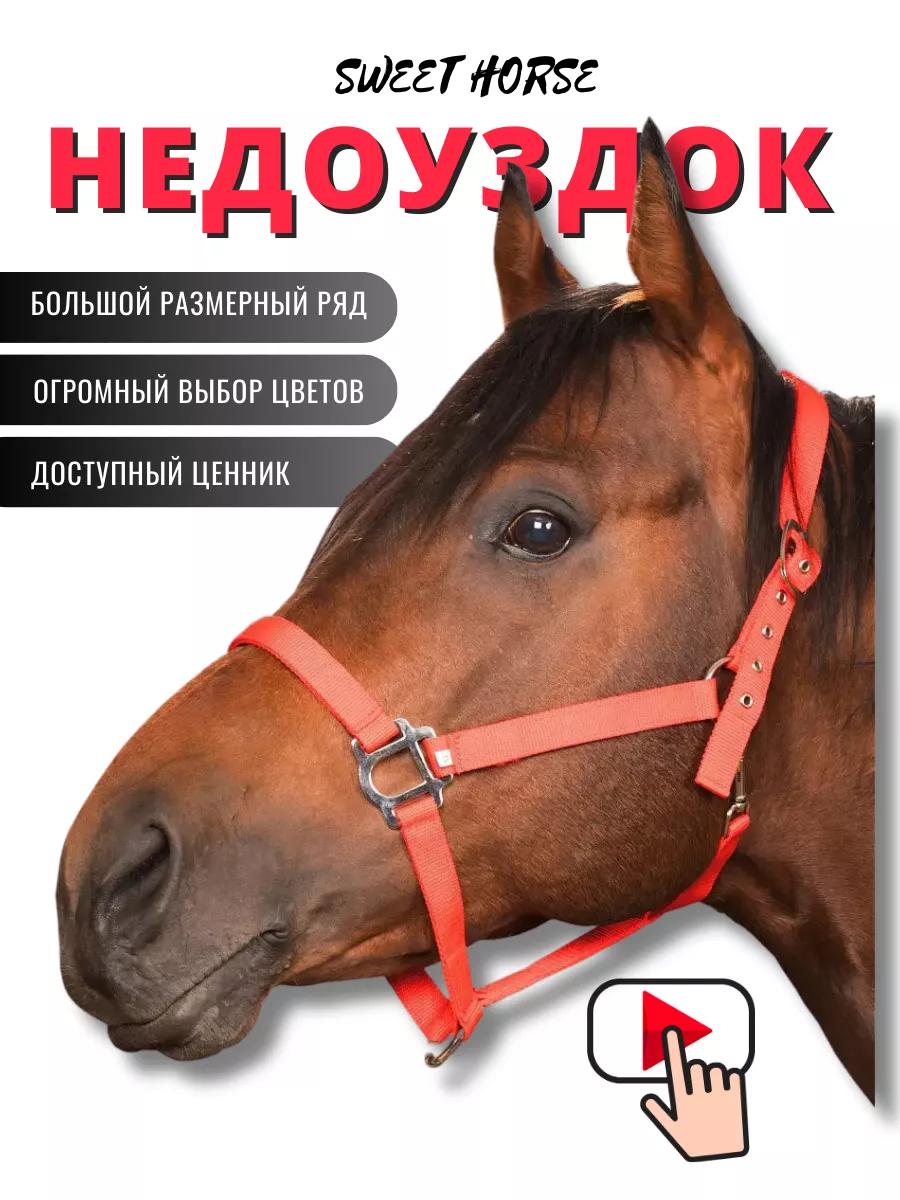 Недоуздок для лошади и пони Sweethorse 11821874 купить за 898 ₽ в  интернет-магазине Wildberries