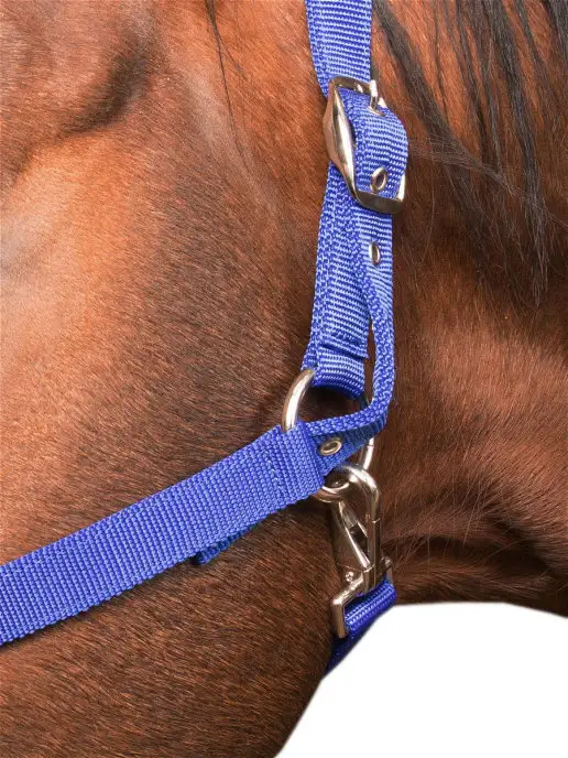 Sweethorse Недоуздок для лошади и пони, вариант, фото 2