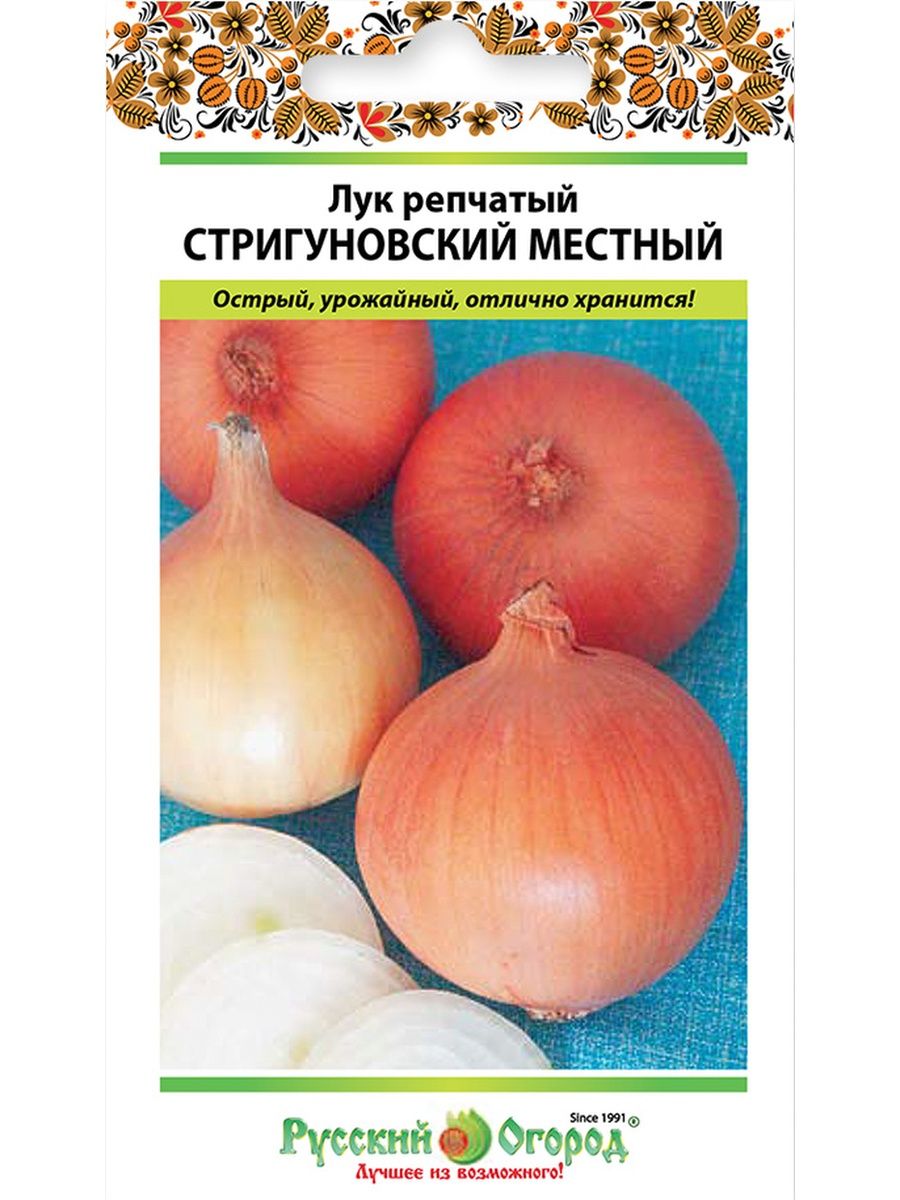 Лук репчатый стригуновский местный. Лук Стригуновский. Лук Стригуновский местный. Лук Стригуновский из семян. Лук Стригуновский описание мелкий или крупный.