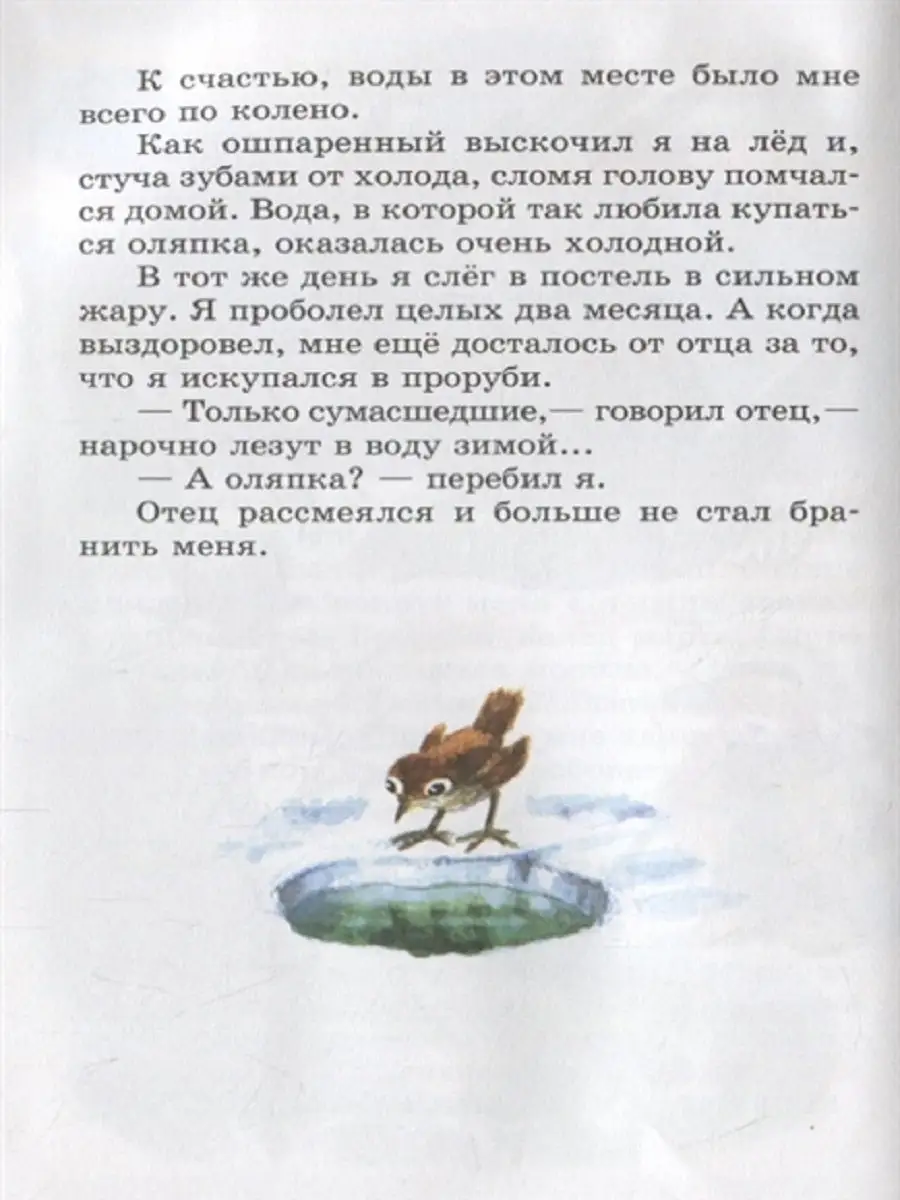 Рассказы Бианки Издательство Самовар 11833113 купить в интернет-магазине  Wildberries