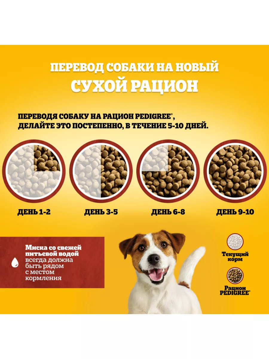 Сухой корм PEDIGREE для собак маленьких пород, говядина 13кг Pedigree  11844786 купить за 3 596 ₽ в интернет-магазине Wildberries