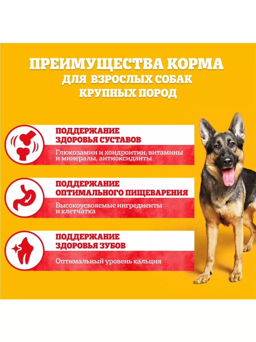 Сухой корм PEDIGREE для собак крупных пород, говядина, 13кг Pedigree  11844787 купить за 3 491 ₽ в интернет-магазине Wildberries