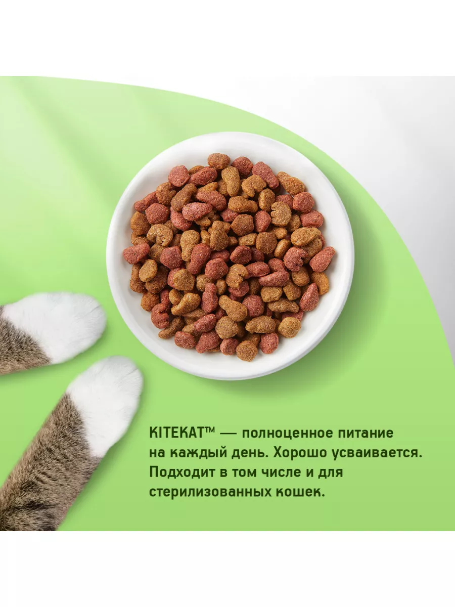 Сухой корм Kitekat для взрослых кошек, Мясной Пир, 1.9кг Kitekat 11844788  купить в интернет-магазине Wildberries