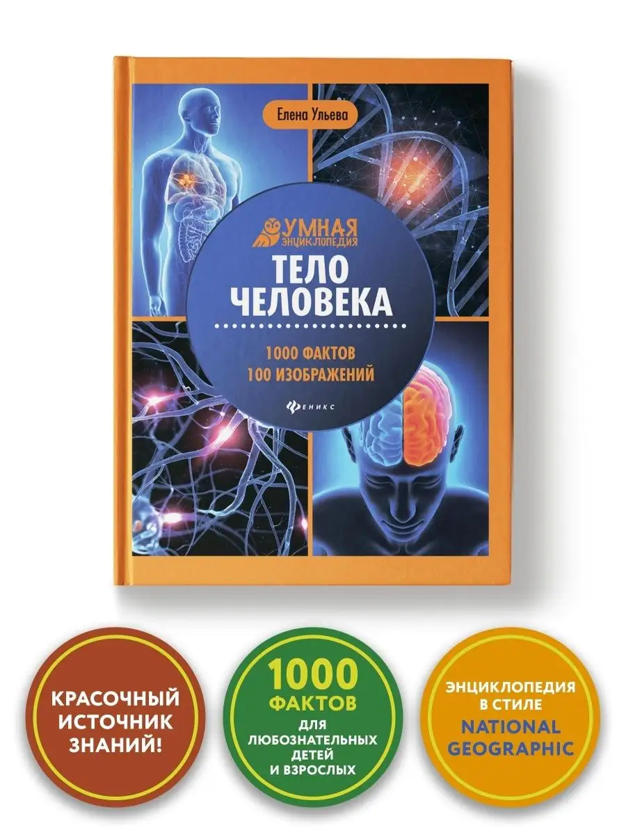 Тело человека: Энциклопедия для детей Издательство Феникс 11900385 купить  за 494 ₽ в интернет-магазине Wildberries