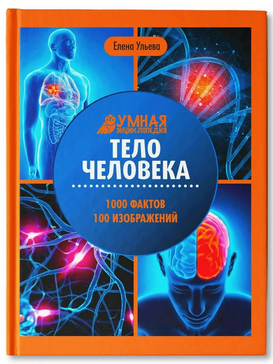 Тело человека: Энциклопедия для детей Издательство Феникс 11900385 купить  за 494 ₽ в интернет-магазине Wildberries