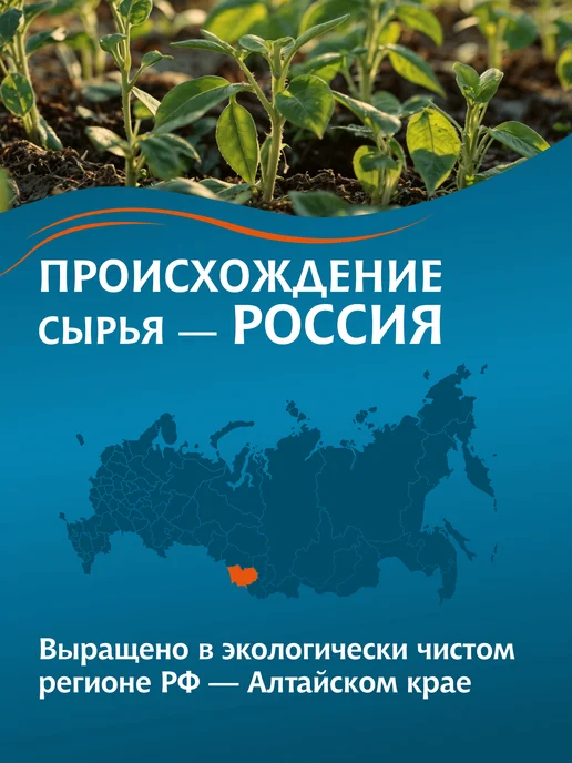 МИСТРАЛЬ Гречка ядрица 5 кг, 5 кг, фото 5
