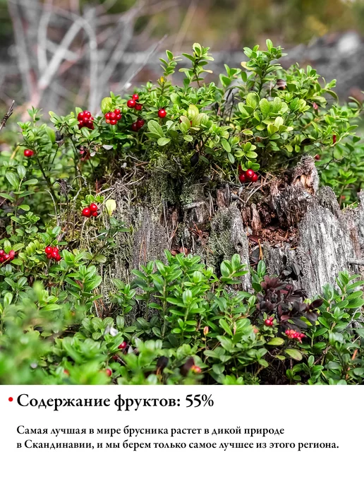 DARBO Соус Дикая Брусника 600 г, 600 г, фото 2
