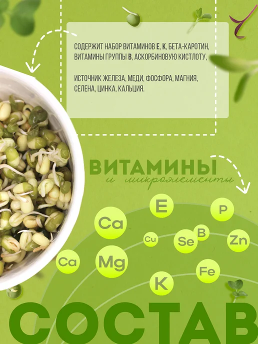 Никольские ПроРостки Маш для проращивания семена, бобы мунг, 500 г, 500 г, фото 2