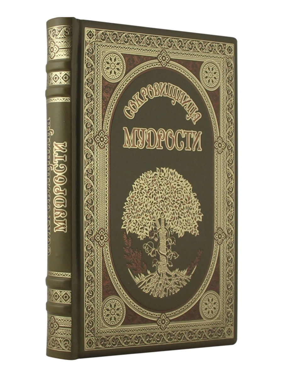 Книга treasured. Сокровищница книга. Сокровищница мудрости. Мудрая книга. Книга сокровищница мудрости Васубандху.