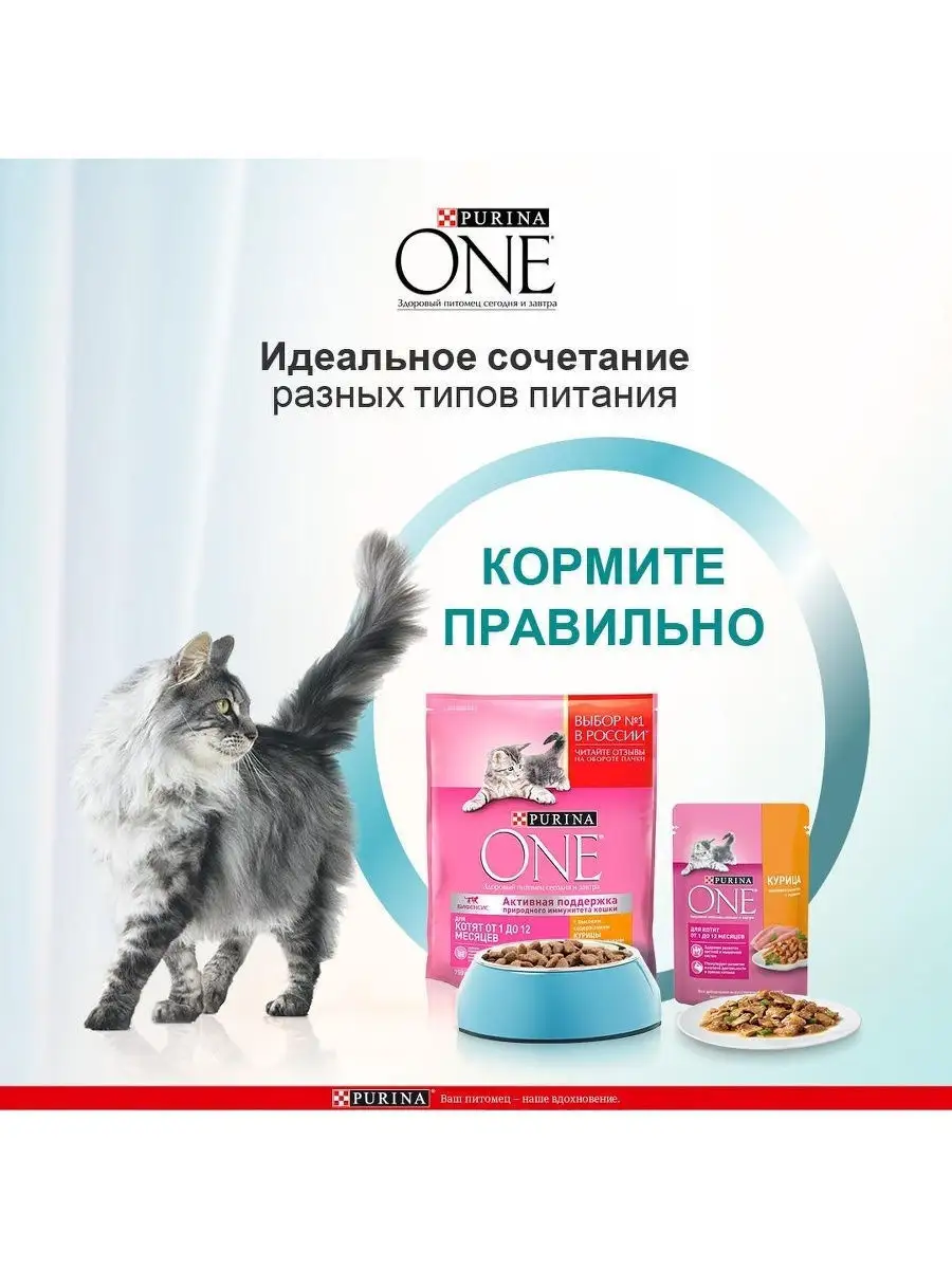 Сухой корм Purina ONE для котят, с высоким содержанием курицы и цельными  злаками, 200 г PURINA ONE 12005687 купить в интернет-магазине Wildberries