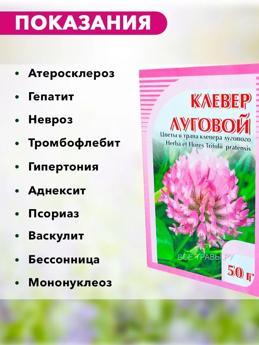 Клевер луговой, цветы и трава, травяной сбор, 50 г ХОРСТ 12006490 купить в  интернет-магазине Wildberries