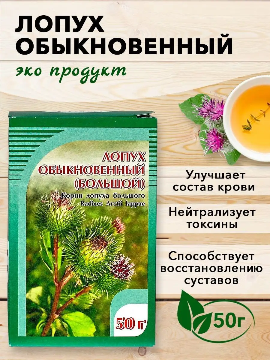 Лопух обыкновенный (большой), корни, сбор ХОРСТ 12006492 купить за 143 ₽ в  интернет-магазине Wildberries