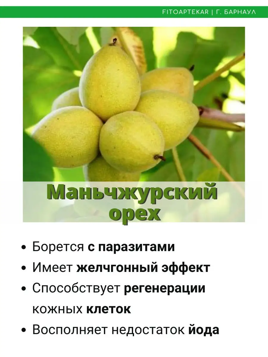 Сок маньчжурского ореха, 250 мл ФИТО-АПТЕКАРЬ 12060220 купить в  интернет-магазине Wildberries