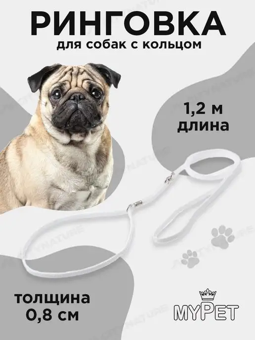 myPet Ринговка для собак поводок удавка для выставки и груминга, удавка