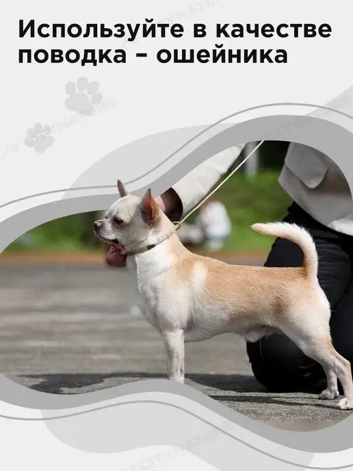 myPet Ринговка для собак поводок удавка для выставки и груминга, удавка, фото 3