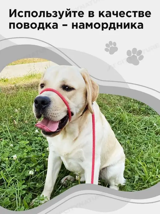 myPet Ринговка для собак поводок удавка для выставки и груминга, удавка, фото 4
