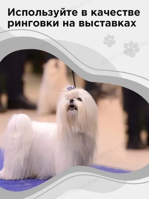 myPet Ринговка для собак поводок удавка для выставки и груминга, удавка, фото 5