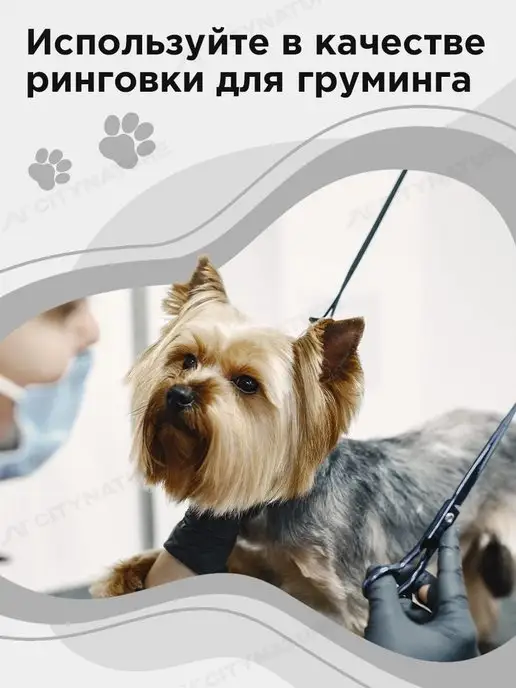 myPet Ринговка для собак поводок удавка для выставки и груминга, удавка, фото 6