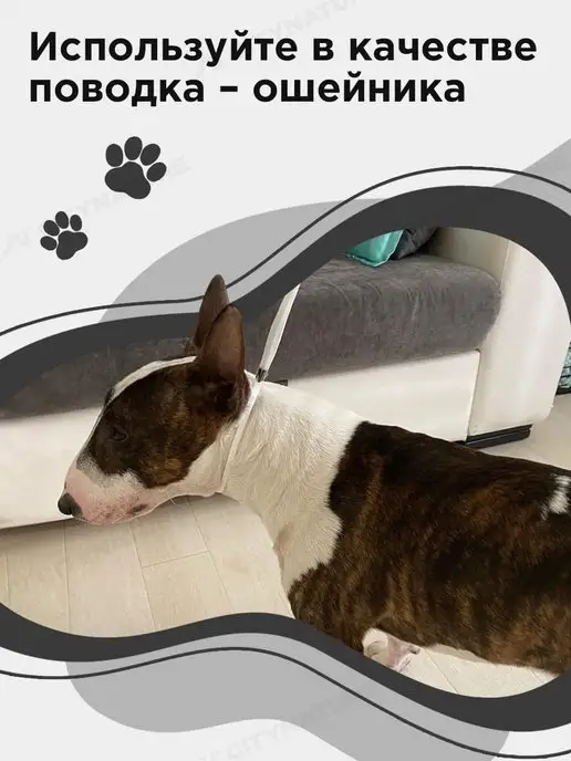 myPet Ринговка для собак поводок удавка для выставки и груминга, вариант, фото 3