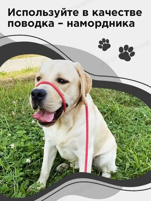 myPet Ринговка для собак поводок удавка для выставки и груминга, вариант, фото 4
