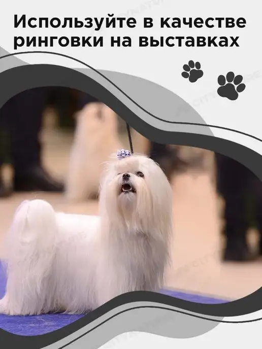 myPet Ринговка для собак поводок удавка для выставки и груминга, вариант, фото 5