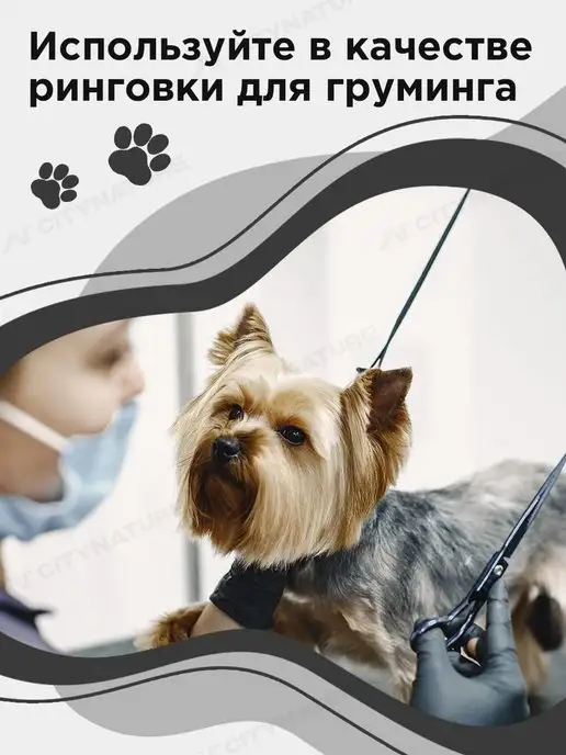 myPet Ринговка для собак поводок удавка для выставки и груминга, вариант, фото 6