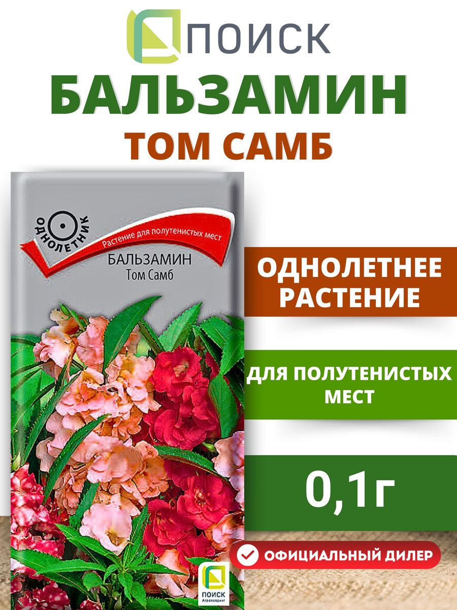 Семена цветов Бальзамин Том Самб 0,1 гр ПОИСК 12136673 купить за 58 ₽ в  интернет-магазине Wildberries