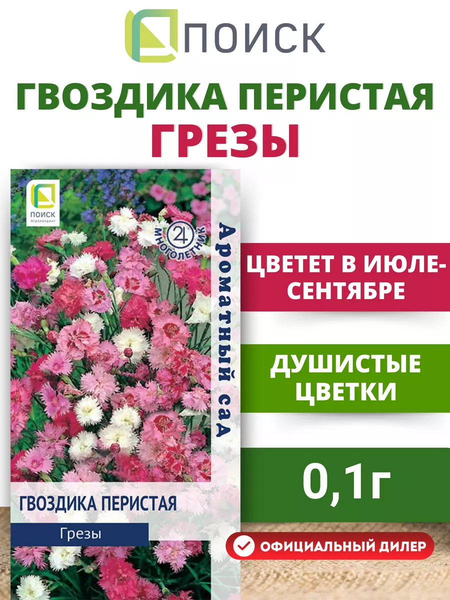 Семена цветов Гвоздика перистая Грезы 0,1 г ПОИСК 12162208 купить за 59 ₽ в  интернет-магазине Wildberries